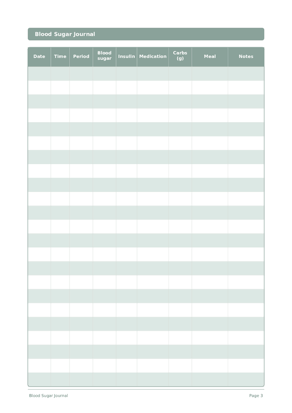 Blood Sugar Journal