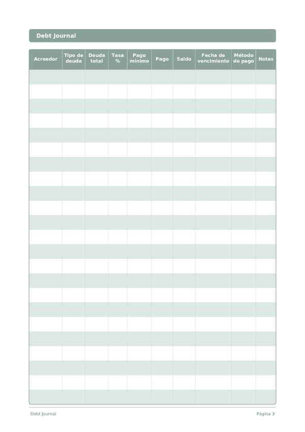 Debt Journal