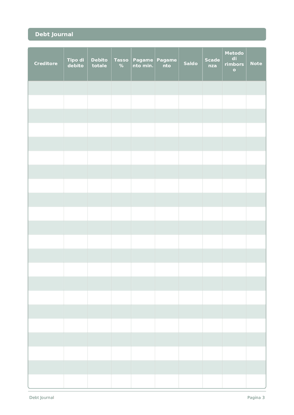 Debt Journal — anteprima pagina