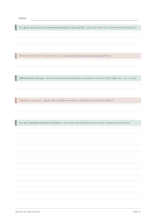 Journal de cinq minutes