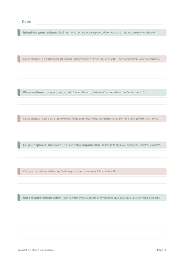 Journal de pleine conscience