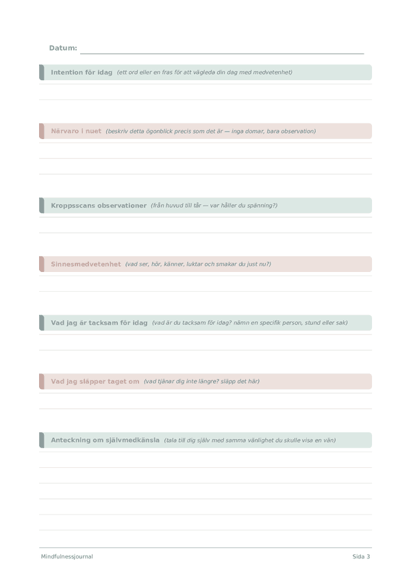 Mindfulnessjournal