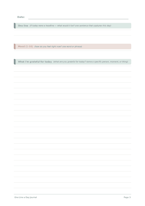 One Line a Day Journal