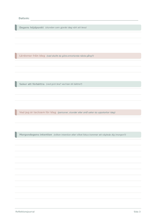 Reflektionsjournal