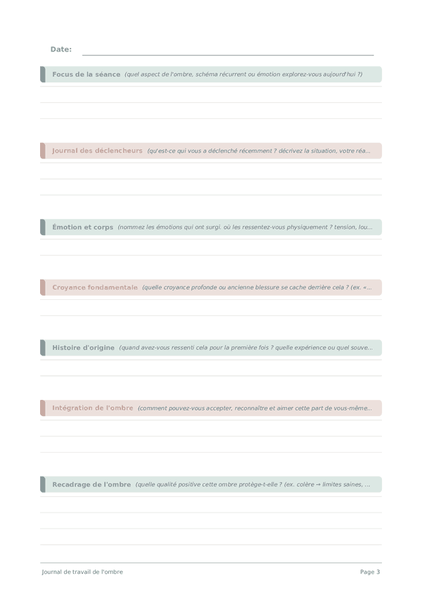 Journal de travail de l'ombre
