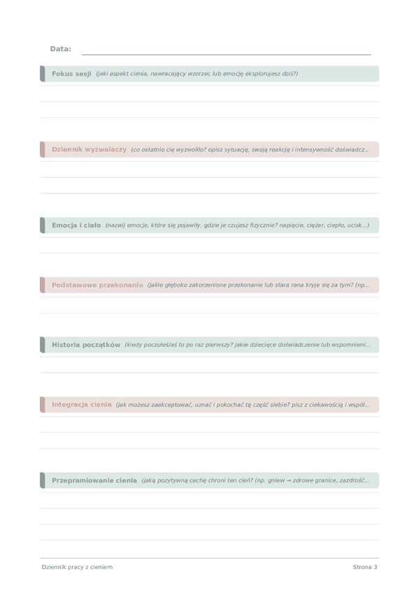 Dziennik pracy z cieniem