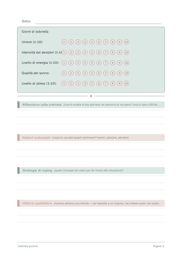 Sobriety Journal — anteprima pagina