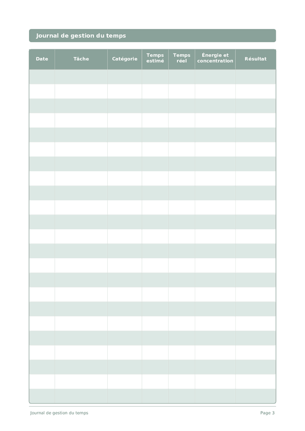 Journal de gestion du temps