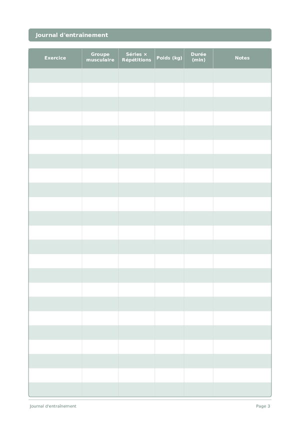 Journal d'entraînement